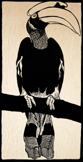 woodcut hornbill